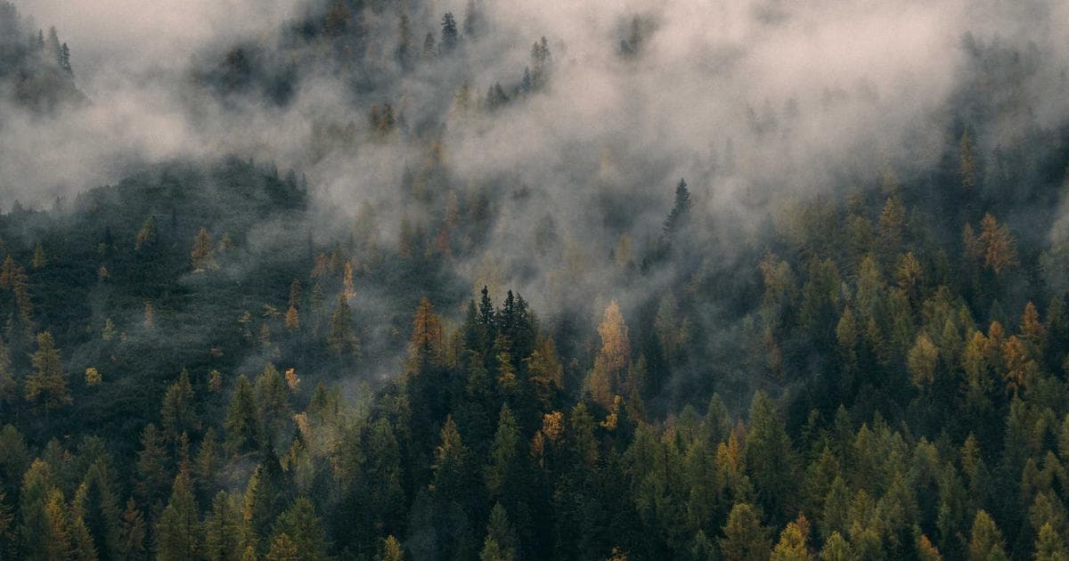 Air Quality by State: The Pollution Problem