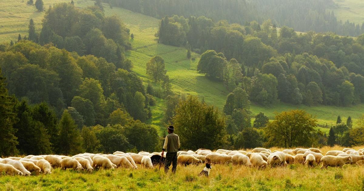 How to Pick a State Before You Retire